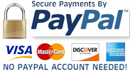 secure-paypal-tr-100